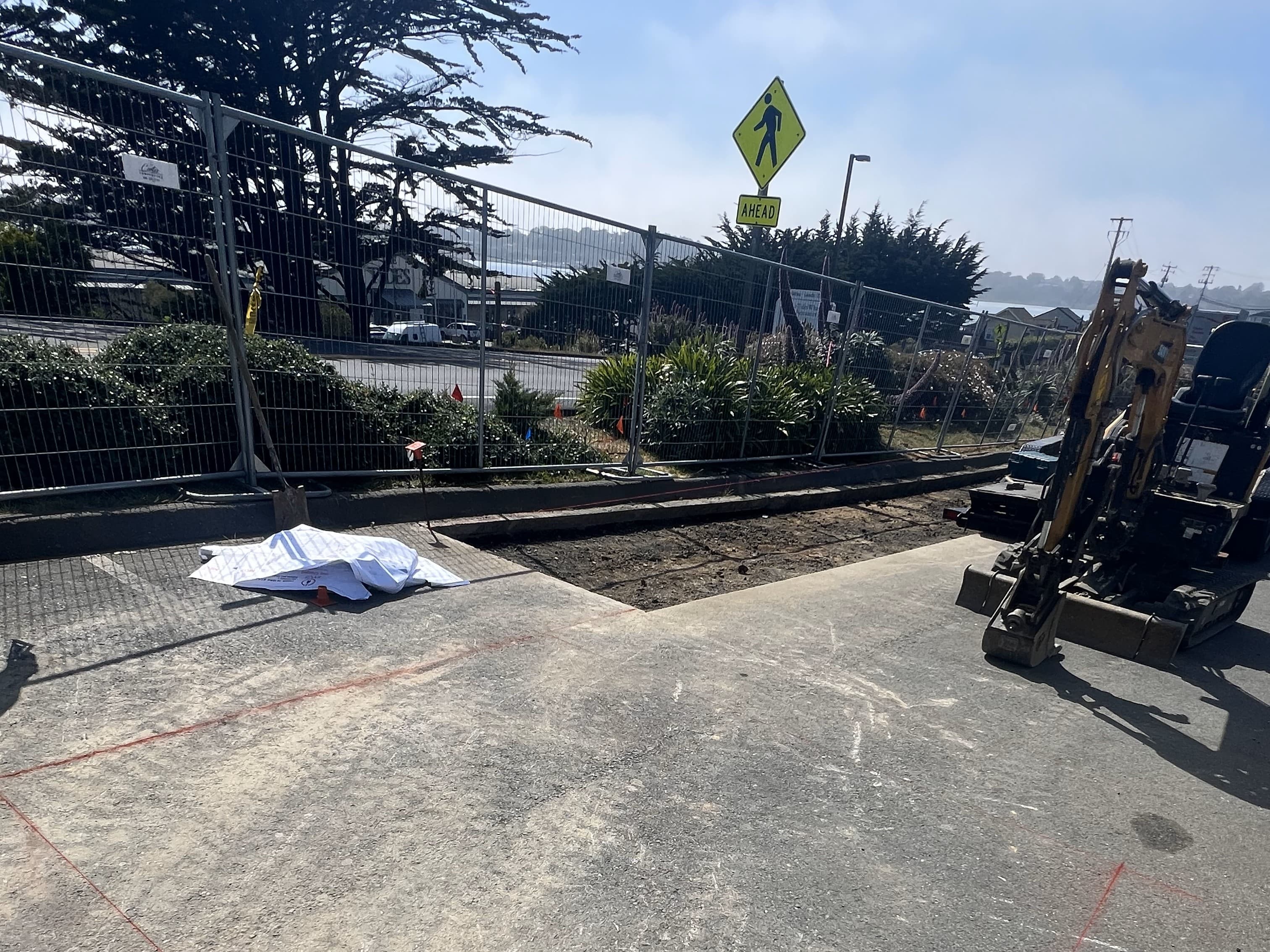 Site clearing