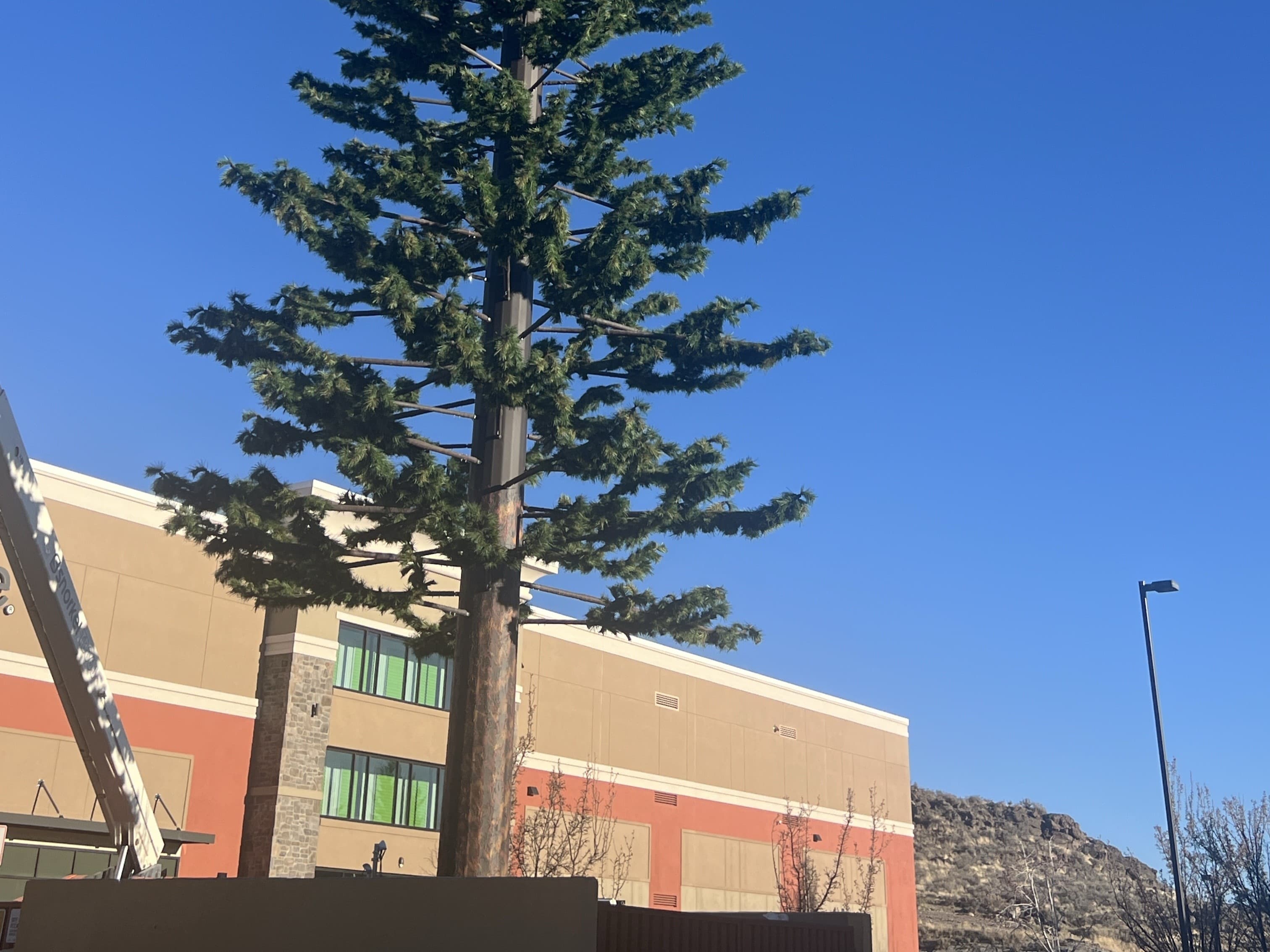 Tower branch installation