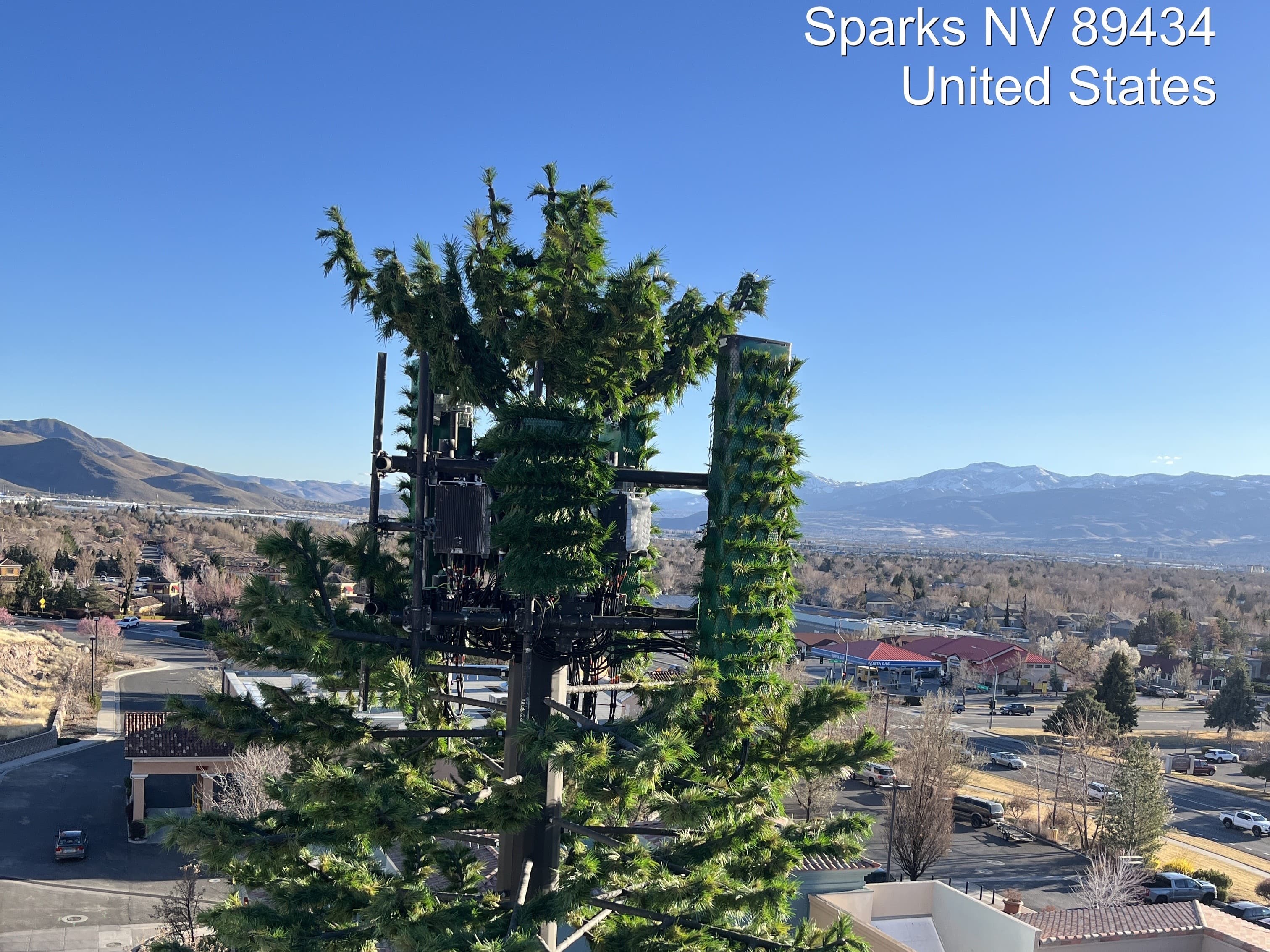 Tower exterior with branches