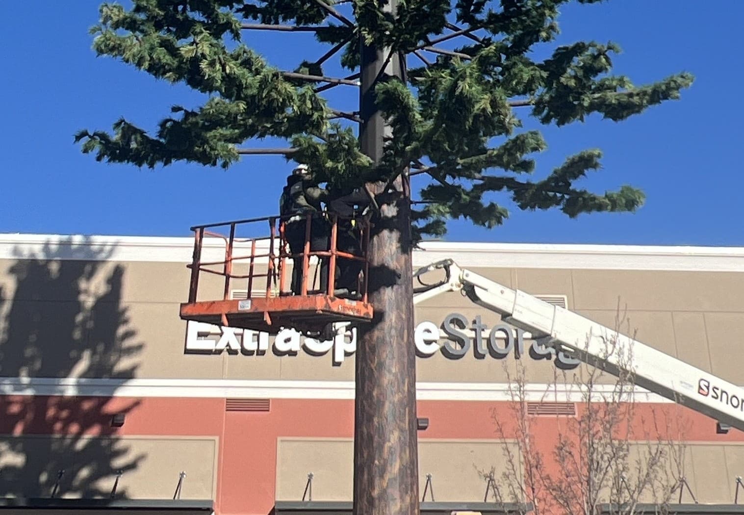 Wireless & 5G