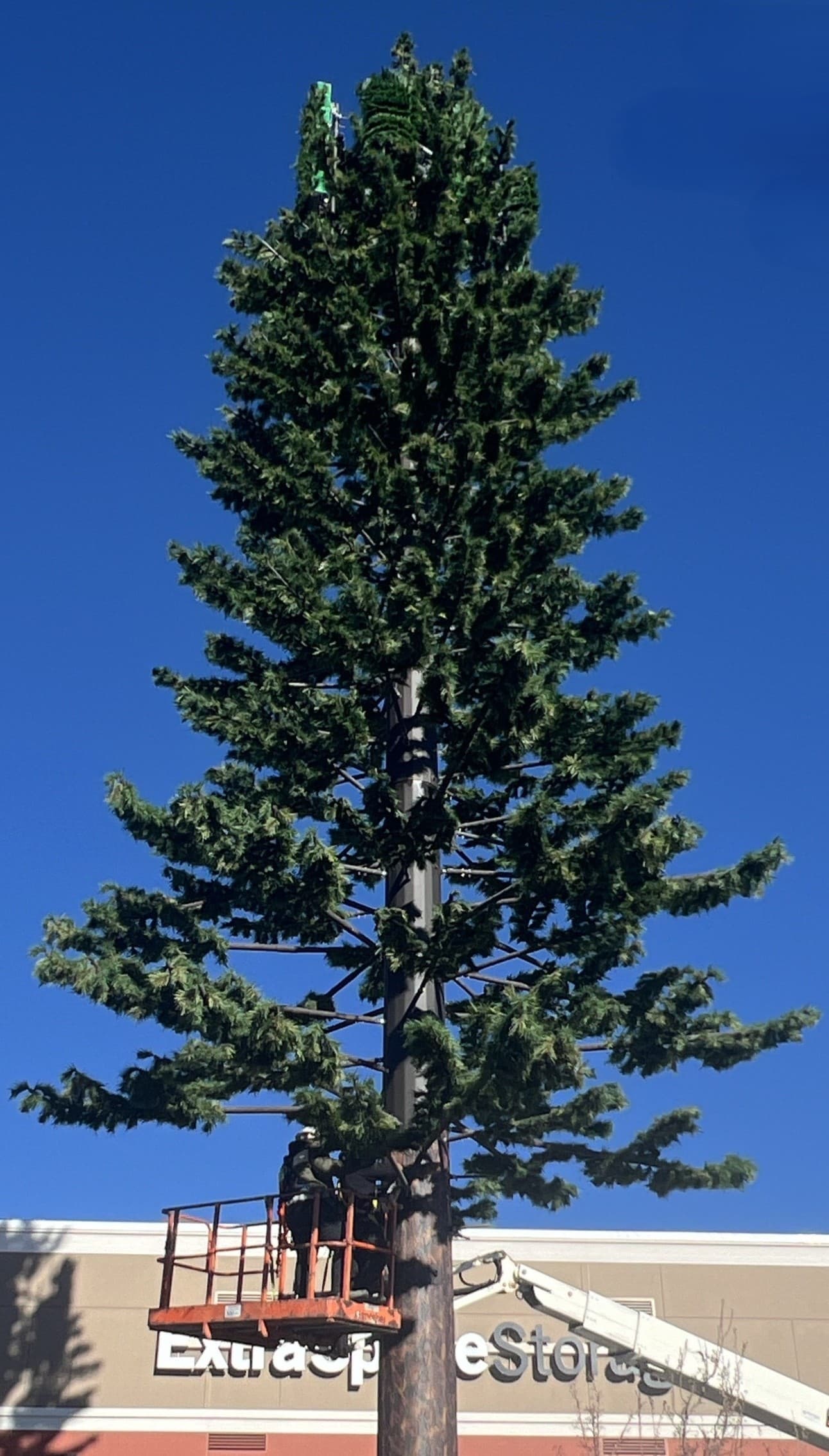 Goldmine team working on telecommunications tree tower